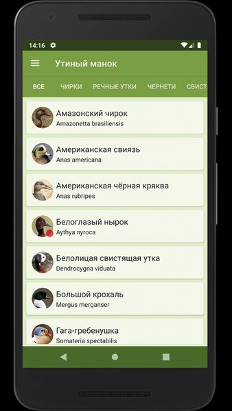Прогрессивный Утиный манок — Развлечения, скриншот интерфейса 3