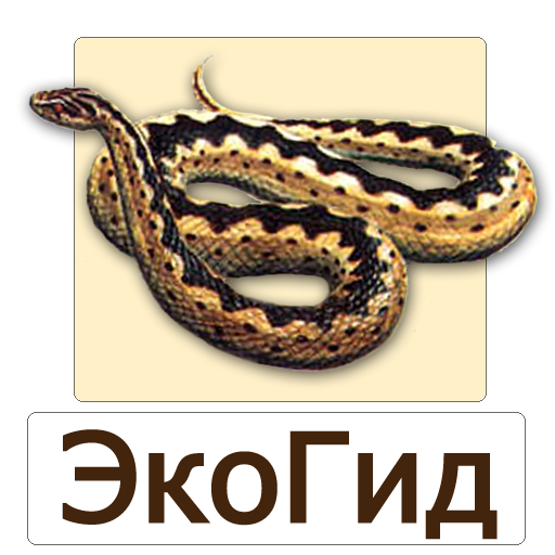 ЭкоГид: Рептилии – Фото, Атлас и Определитель