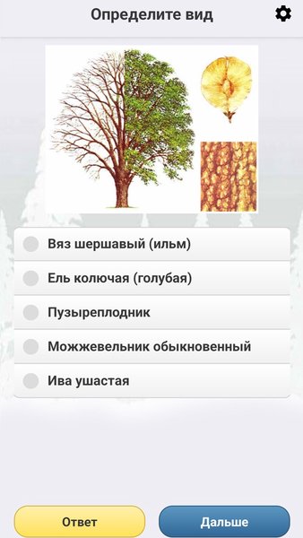 ЭкоГид: Деревья зимой - Атлас и Определитель — Книги и справочники, скриншот интерфейса 6