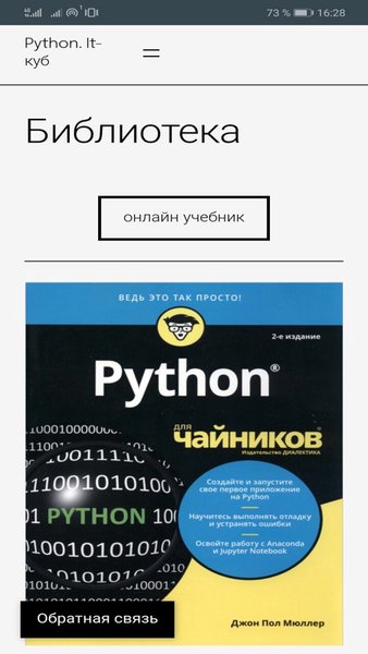 Python — Образование, скриншот интерфейса 4