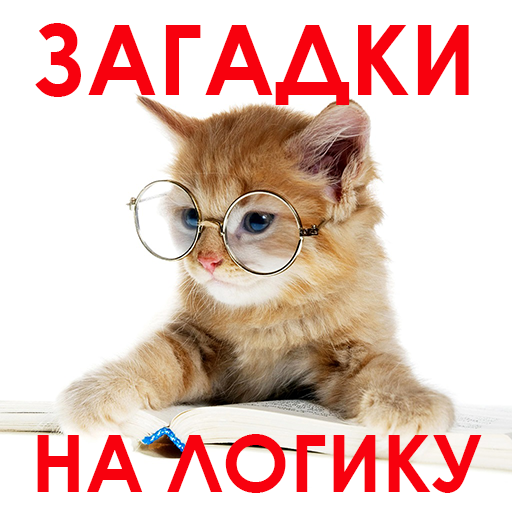 1000 и одна загадка. Загадки на логику.