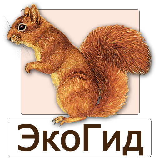 ЭкоГид: Звери - Следы, Голоса и Определитель