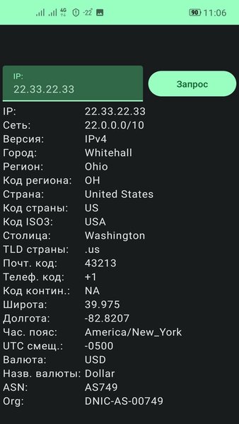 Simple IP Info — Инструменты, скриншот интерфейса 2
