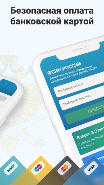 Денежные переводы в ФСИН России — Финансы, скриншот интерфейса 3
