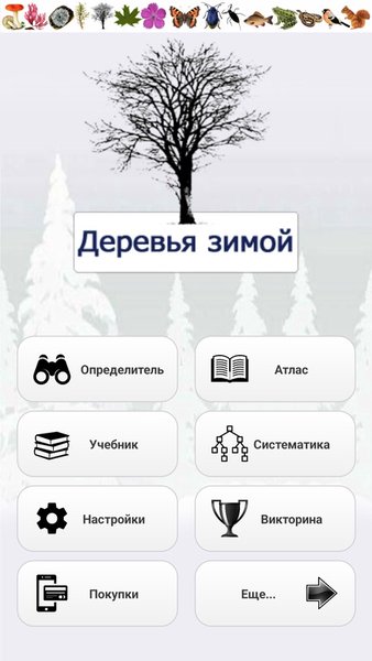 ЭкоГид: Деревья зимой - Атлас и Определитель — Книги и справочники, скриншот интерфейса 1