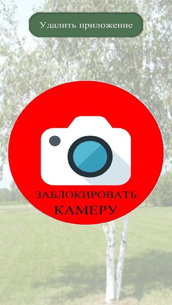 Берёзка - Блокировка камеры — Инструменты, скриншот интерфейса 1