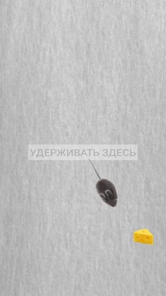 Займи кота — Симуляторы, скриншот интерфейса 1