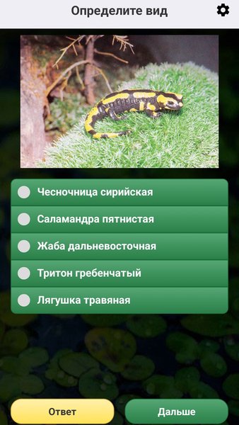 ЭкоГид: Амфибии - Фото, Голоса и Определитель — Книги и справочники, скриншот интерфейса 6