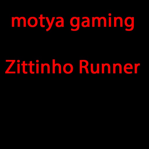 Zittinho Runner