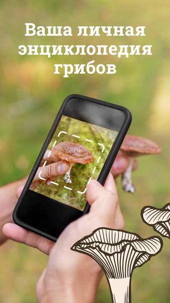 Гриб ID — Книги и справочники, скриншот интерфейса 5