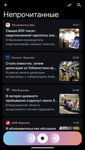 Новости Воронежа — Новости и журналы, скриншот интерфейса 6