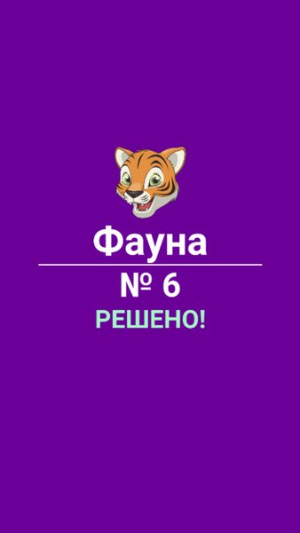Словесный лабиринт: филворды — Словесные игры, скриншот интерфейса 4