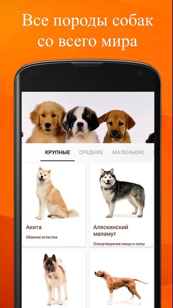 Породы собак — Книги и справочники, скриншот интерфейса 1