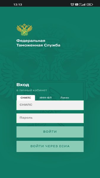 Личный кабинет участника ВЭД ФТС России — Бизнес, скриншот интерфейса 2