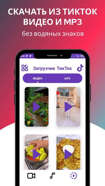 Скачать из Тик Ток видео и музыку. Загрузчик ТикТок — Инструменты, скриншот интерфейса 1