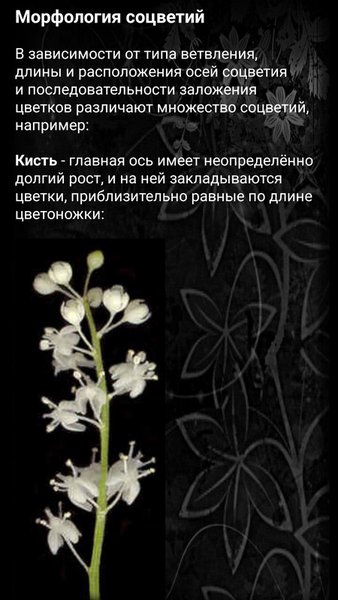 ЭкоГид: Цветы – Фото, Атлас и Определитель — Книги и справочники, скриншот интерфейса 5