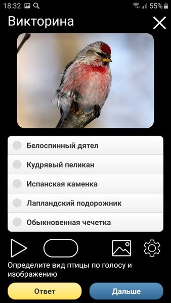 Голоса птиц Европы PRO — Книги и справочники, скриншот интерфейса 5