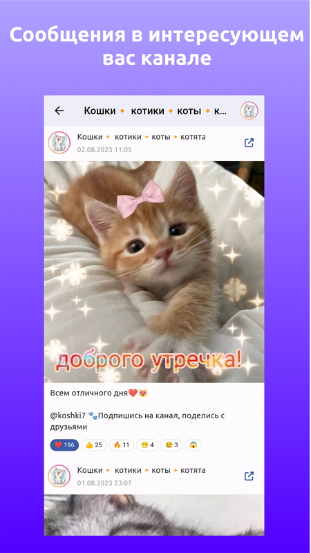 TG Reader – лента Телеграм — Социальные, скриншот интерфейса 3