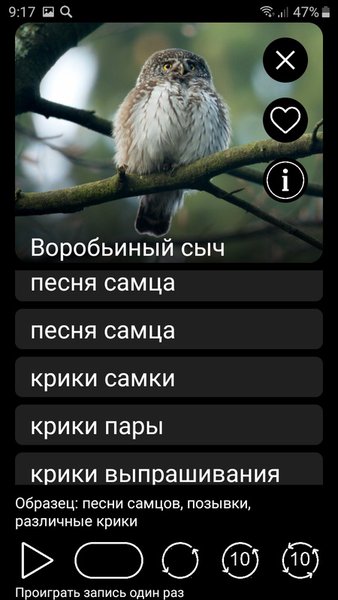 Манок на птиц: песни, позывки, голоса птиц — Книги и справочники, скриншот интерфейса 6