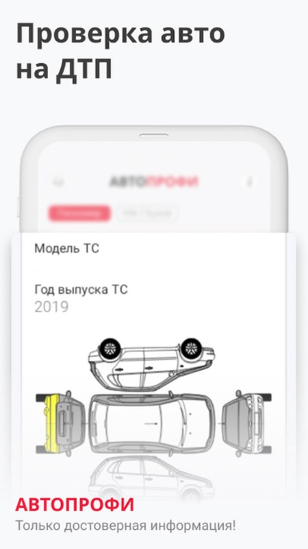 База ГИБДД - проверка авто — Автомобили и транспорт, скриншот интерфейса 1