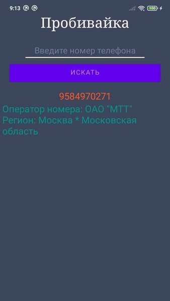 Оператор по телефонному номеру РФ — Связь, скриншот интерфейса 2
