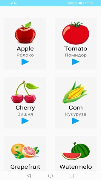 Английский язык для детей — Образование, скриншот интерфейса 4