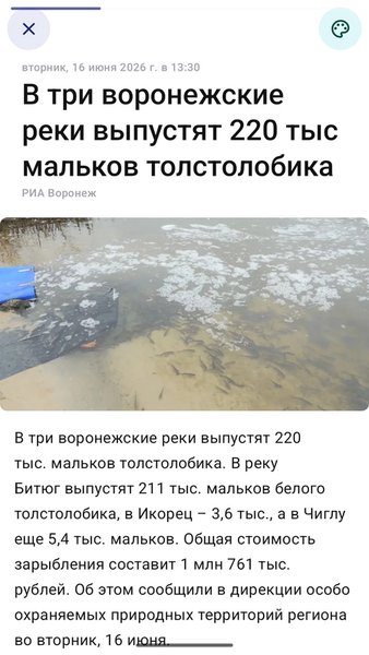 Новости Воронежа — Новости и журналы, скриншот интерфейса 3