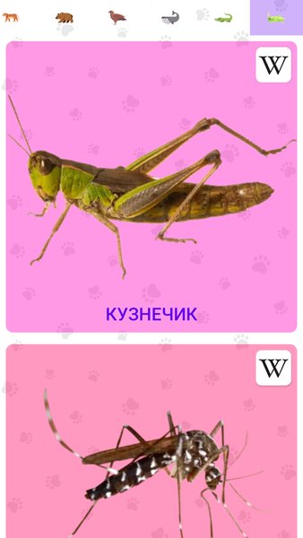 Звуки Животных — Викторины, скриншот интерфейса 3