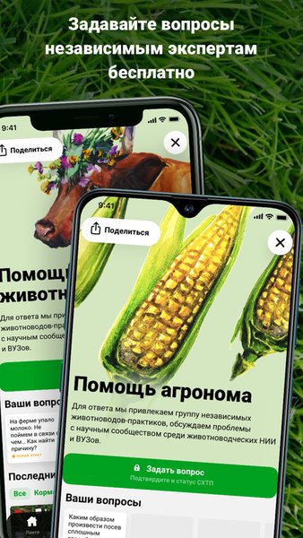Direct.Farm - агро сообщество — Другие, скриншот интерфейса 3