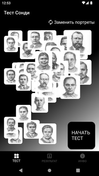 Тест Сонди — Инструменты, скриншот интерфейса 1