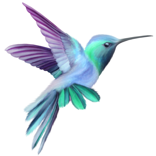 Hummingbird OS