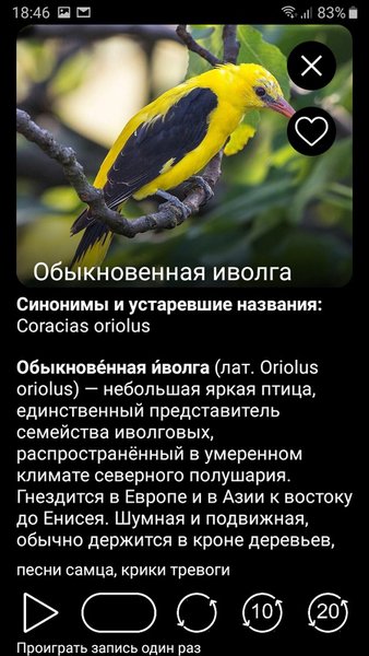 Птицы Европы PRO — Книги и справочники, скриншот интерфейса 6
