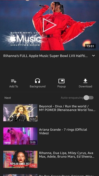 You T Downloader — Социальные, скриншот интерфейса 4