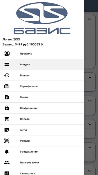 БАЗИС-Онлайн — Бизнес, скриншот интерфейса 1