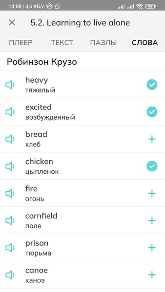 Flu English - Аудио английский — Образование, скриншот интерфейса 6
