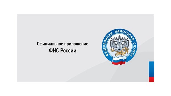 Налоги ФЛ — Бизнес, скриншот интерфейса 1