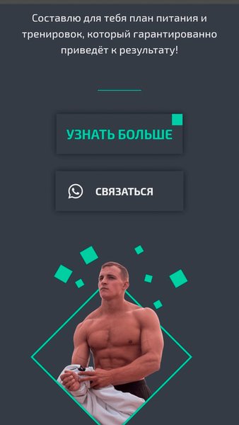 Skripkafit — Здоровье и фитнес, скриншот интерфейса 3