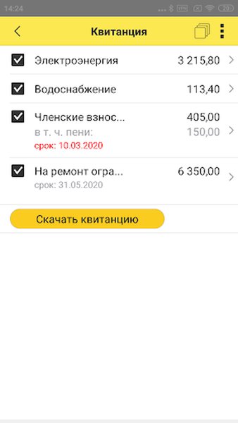 1С:Садовод. Личный кабинет — Финансы, скриншот интерфейса 1