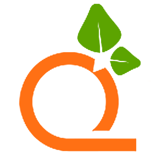 Orange Shelf