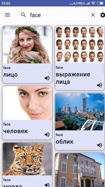 SkyLexicon — Образование, скриншот интерфейса 1