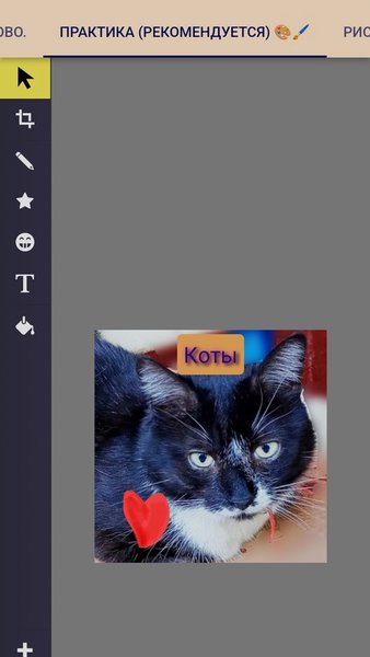 Коты  — Обучающие, скриншот интерфейса 7
