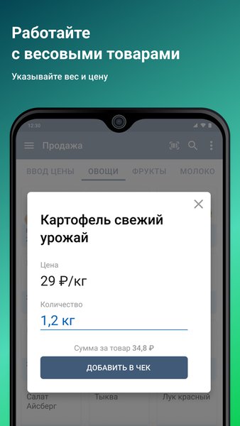 Касса в телефоне — Старт — Бизнес, скриншот интерфейса 5