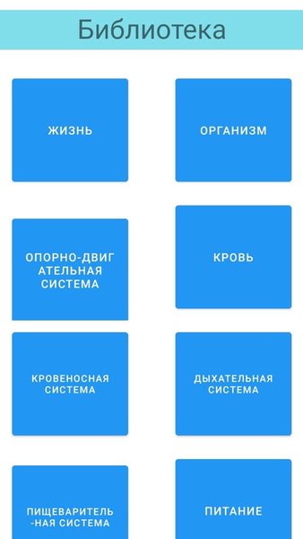 Anatom — Образование, скриншот интерфейса 5