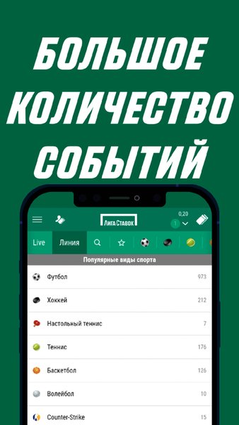 Лига Ставок — Спорт, скриншот интерфейса 2