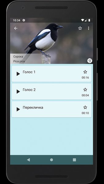 Манок на врановых — Развлечения, скриншот интерфейса 3