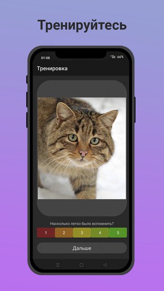 Flipcards — Образование, скриншот интерфейса 4