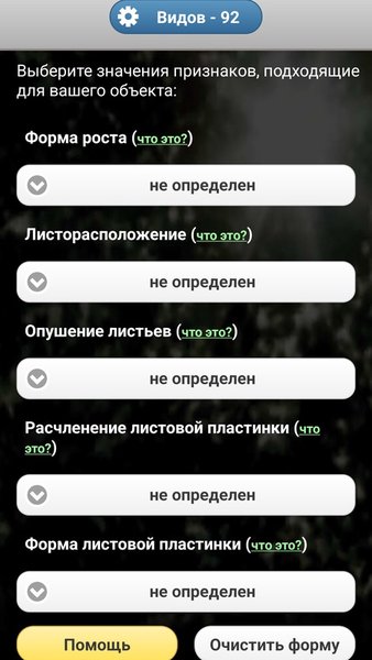 ЭкоГид: Деревья летом - Атлас и Определитель — Книги и справочники, скриншот интерфейса 3