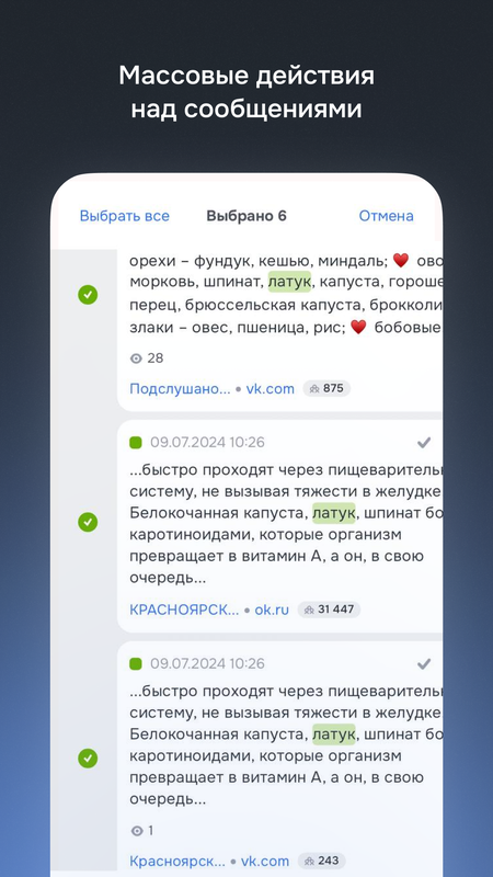 Brand Analytics — Бизнес, скриншот интерфейса 8