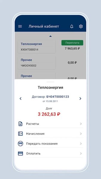 Иркутскэнергосбыт для бизнеса — Бизнес, скриншот интерфейса 3