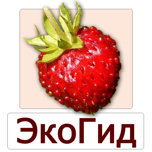 ЭкоГид: Ягоды - Фото, Рецепты, Определитель